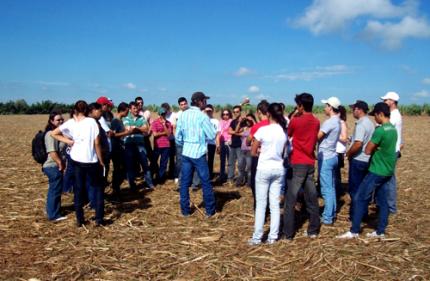 Produção Sucroalcooleira visita área agrícola de usina