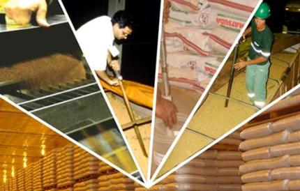 Curso de Amostradores de Sementes atende exigência atual