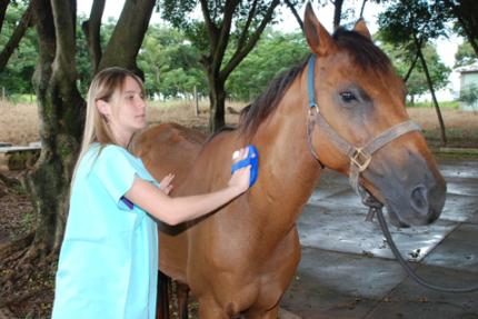 Atendimentos do Hospital Veterinário são retomados