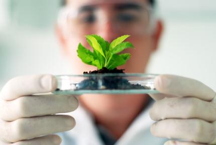 Análise Ambiental e Biotecnologia estão em alta no mercado