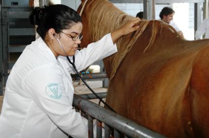 67% dos candidatos são homologados para intercâmbio pelo CsF