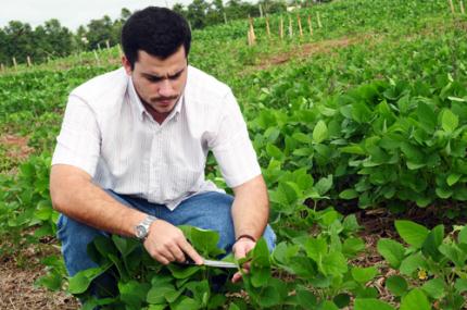Agronomia integra projeto inédito de cultivares de soja