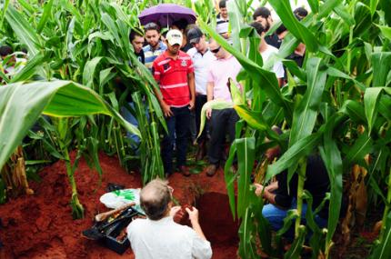 Agronomia traz informações sobre compactação do solo