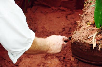 Agronomia traz informações sobre compactação do solo