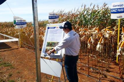 Agronomia: da sala de aula direto para o mercado de trabalho