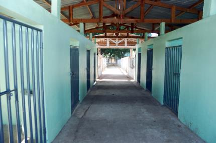 Hospital Veterinário amplia espaço de cavalariça em 128 m²