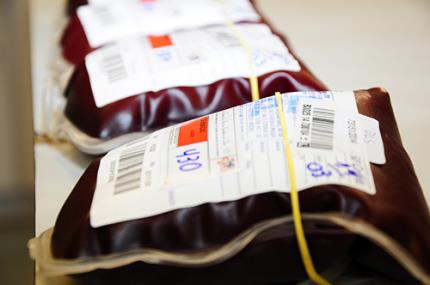 Futuros médicos fazem campanha de doação de sangue