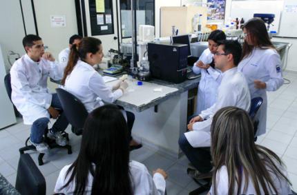 Pesquisas verificam como cádmio afeta corpo humano