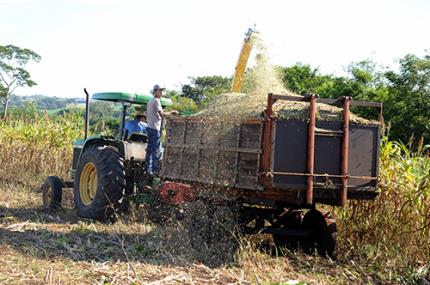 Agrárias realizam processo de silagem no campo experimental