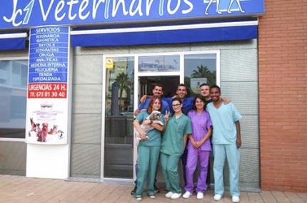 Intercâmbio na Europa direciona estudo de futuro veterinário