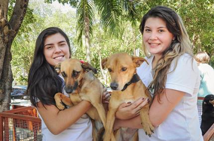 Feira de adoção e exames gratuitos marcam Dia do Veterinário