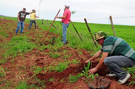 Entorno da ETE de Gardênia recebe primeiras mudas de árvores