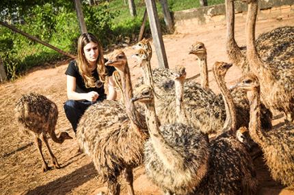 Zootecnia é nota máxima em avaliação do MEC