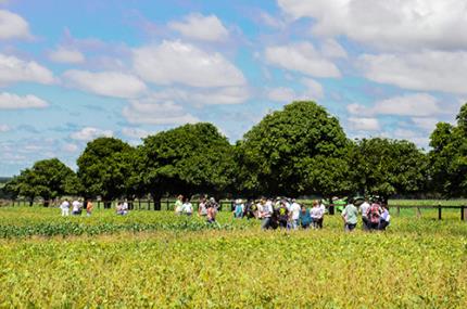 Dia de Campo traz alternativas para o produtor rural