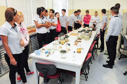 Fundação Mirim programa nove visitas para mais de 280 alunos