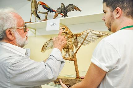 Taxidermista sugere museu de história natural em Prudente