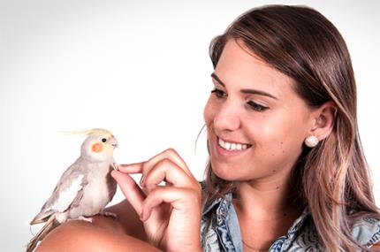 Pets exóticos precisam de cuidados especiais