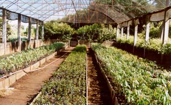 Pós-Graduação: Mestrado em Agronomia terá processo seletivo