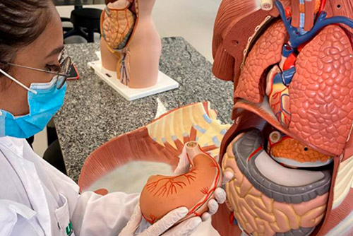 Laboratório de Anatomia