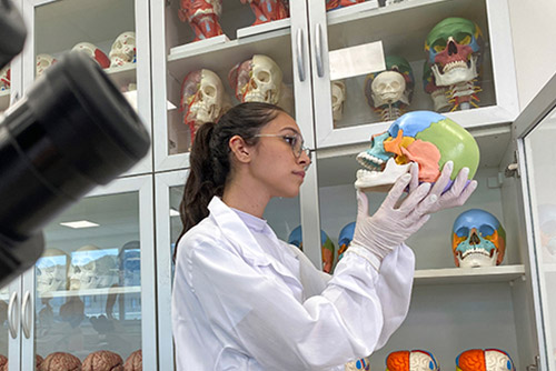 Laboratório de Anatomia