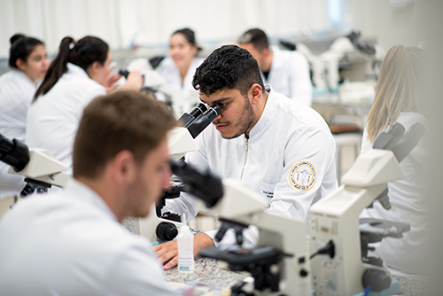 Laboratório de Microscopia