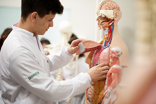 Laboratório de Anatomia