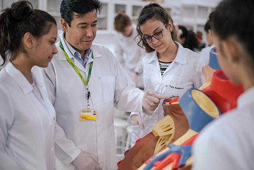 Laboratório de Anatomia