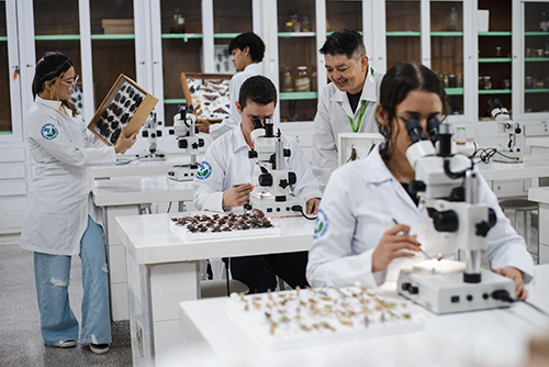 Laboratório Entomologia Geral