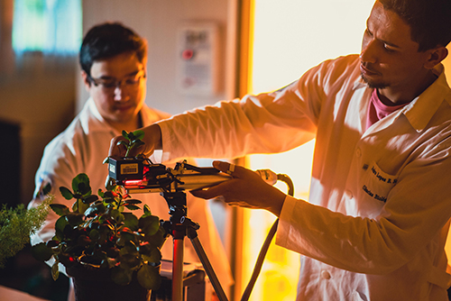 Centro de Estudos em Ecofisiologia Vegetal do Oeste Paulista (Cevop)