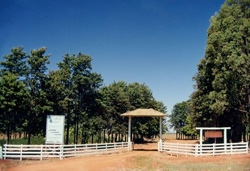 A Unoeste inaugurou a Fazenda Experimental para o uso dos cursos de agrárias, numa área total de 3.217.355 m², em Presidente Bernardes (SP). Considerada unidade de referência tecnológica, a área tem grande contribuição para o desenvolvimento e transformação da agropecuária na região do oeste paulista, utilizada por alunos da graduação e da pós para ensino, pesquisa e extensão.