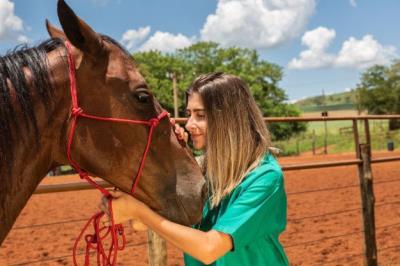 Conheça a proposta e as vantagens do curso de Medicina Veterinária
