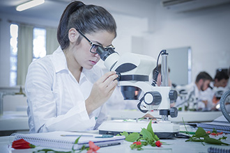 O Laboratório de Botânica direciona os estudos da fisiologia, morfologia, ecologia, evolução, anatomia, classificação, doenças, distribuição, dentre outros aspectos das plantas