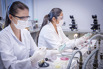 Laboratório de Microbiologia Clínica: realização de exames para diagnosticar os principais agentes microbianos causadores de doenças