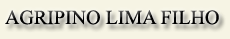 Consultant