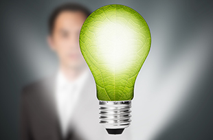 Sustentabilidade Organizacional