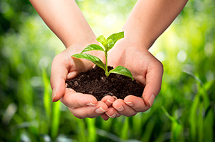 Metodologias Aplicadas à Educação Ambiental