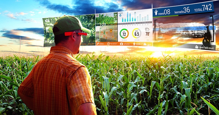 Direito Rural e Agronegócio: Temas Atuais, Ações e Pratica
