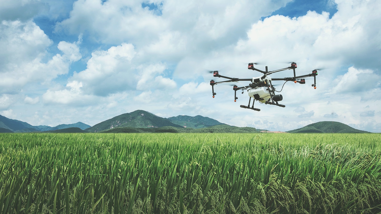 Uso de Drones na Agricultura                                                                                                                                                                                                                                   