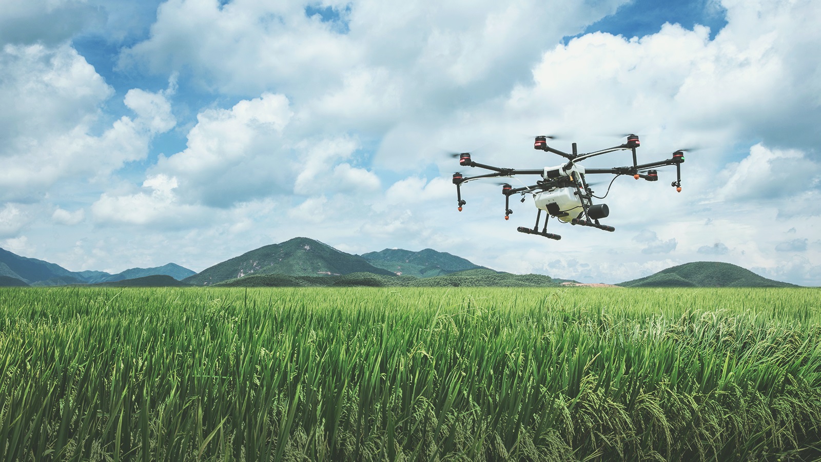 Uso de Drones na Agricultura