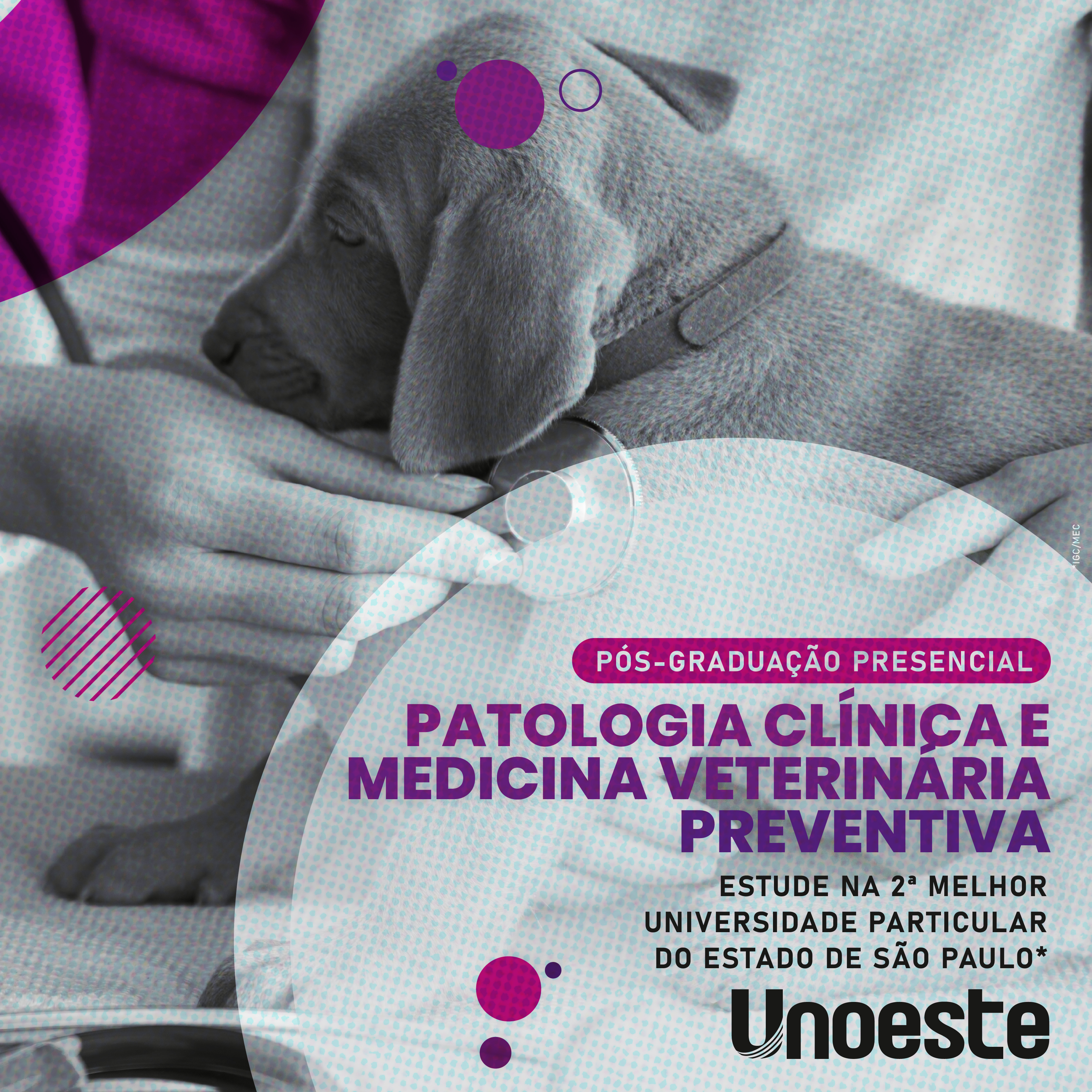Aprimoramento Profissional em Medicina Veterinária - Patologia Clínica e Medicina Veterinária Preventiva - 2022                                                                                                                                                