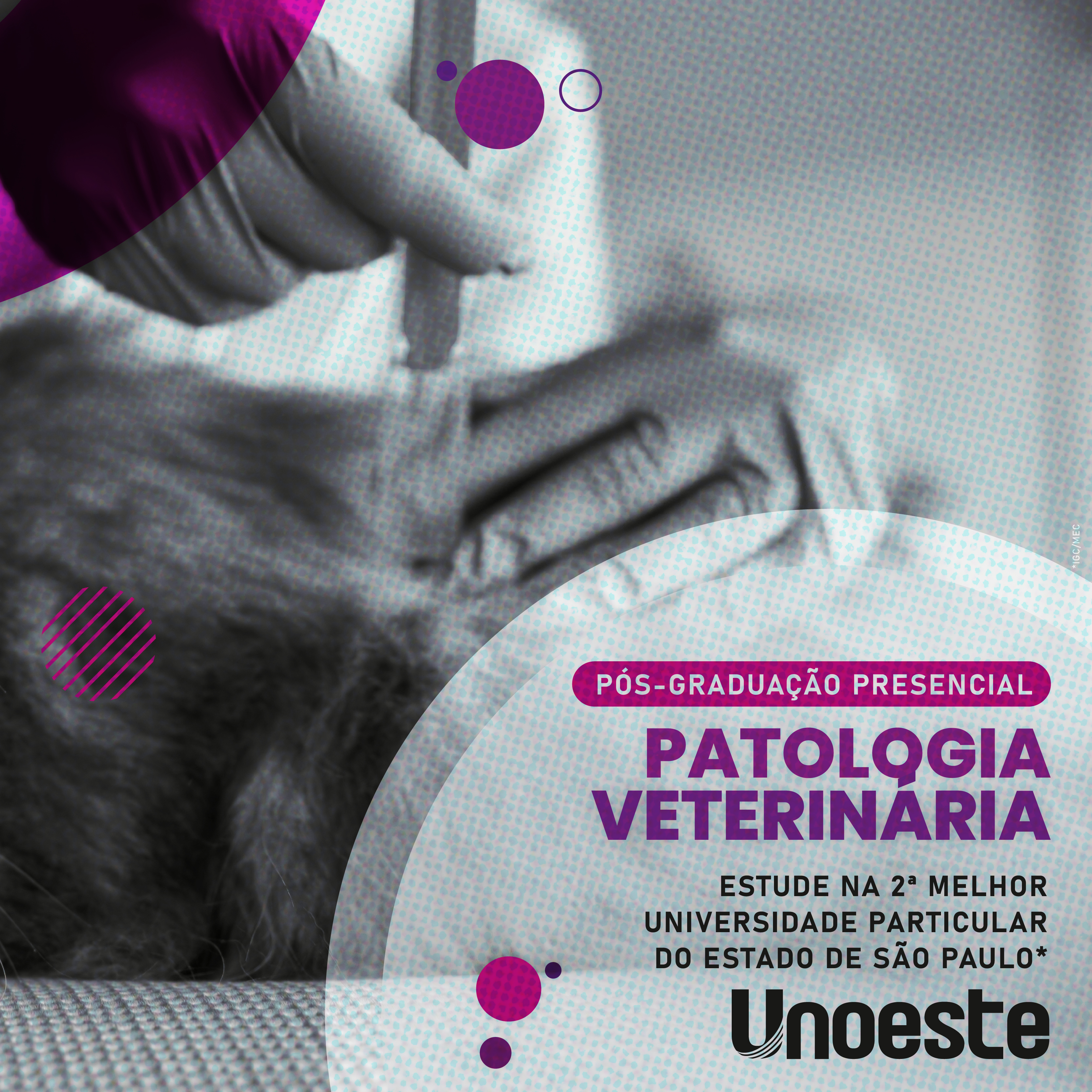 Aprimoramento Profissional em Medicina Veterinária - Patologia Veterinária - 2022                                                                                                                                                                              
