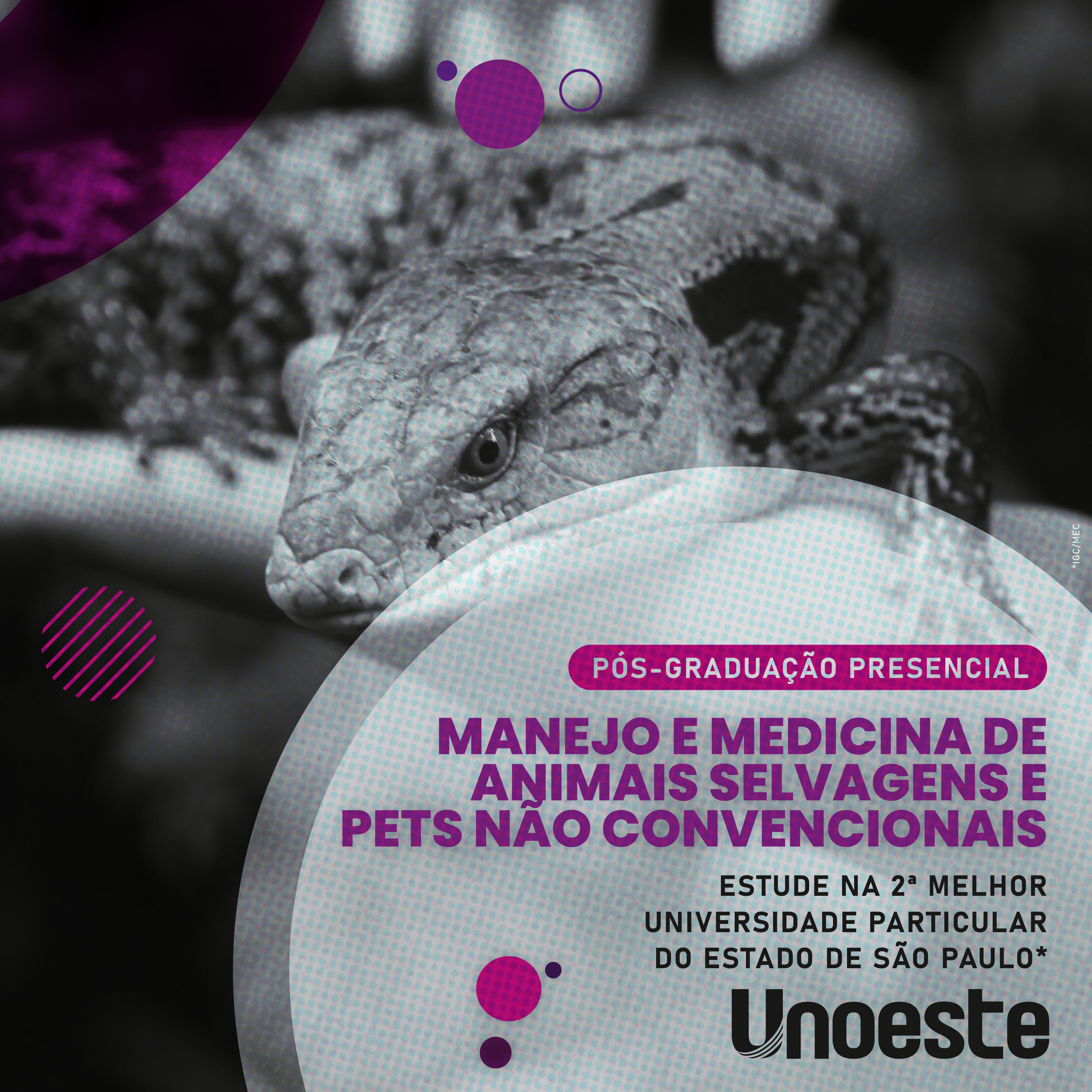 Manejo e Medicina de Animais Selvagens e Pets não Convencionais                                                                                                                                                                                                
