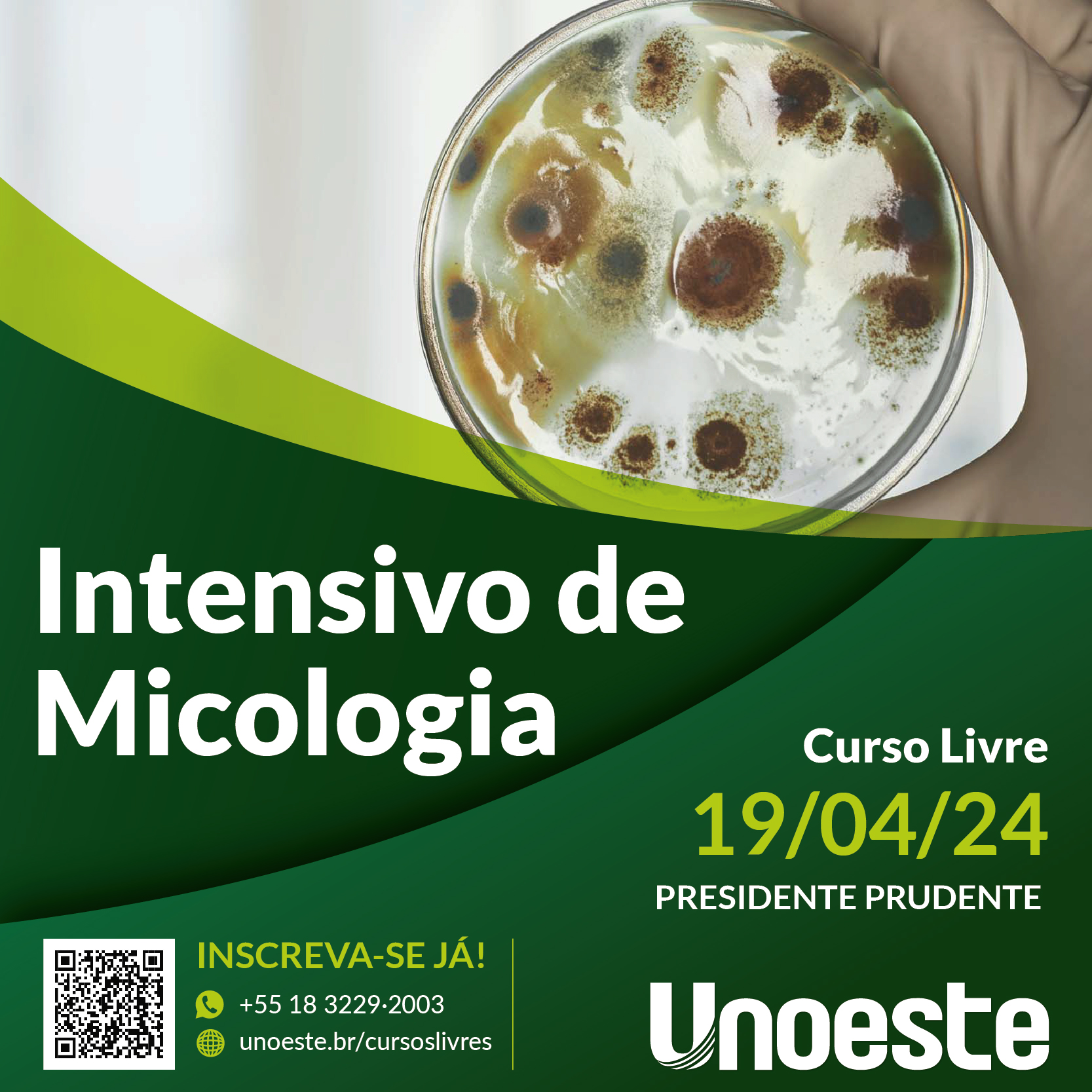 Intensivo de Micologia