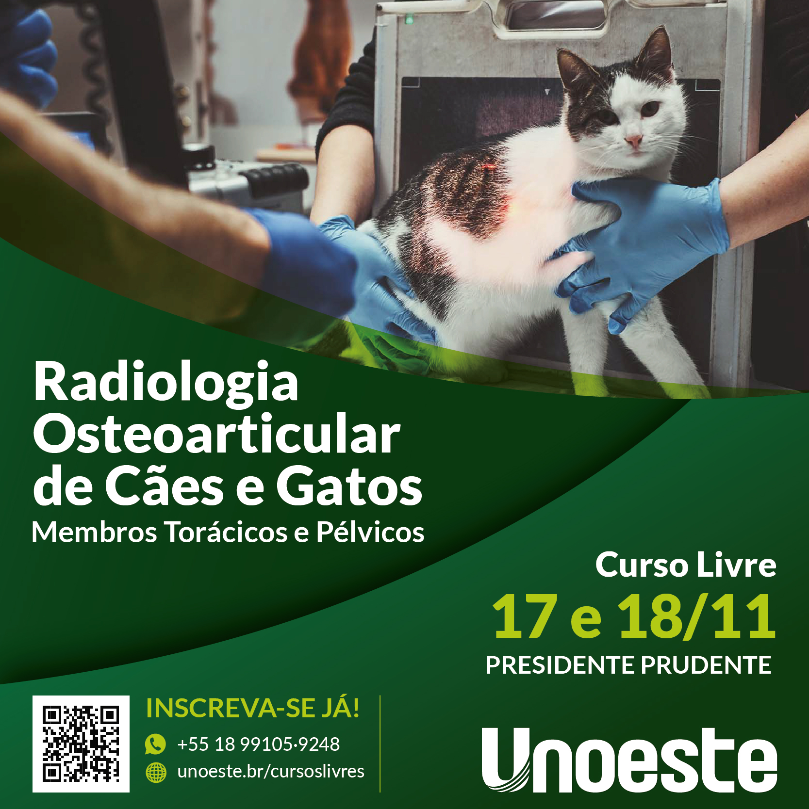 Radiologia Osteoarticular de Cães e Gatos: Membros Torácicos e Pélvicos                                                                                                                                                                                        