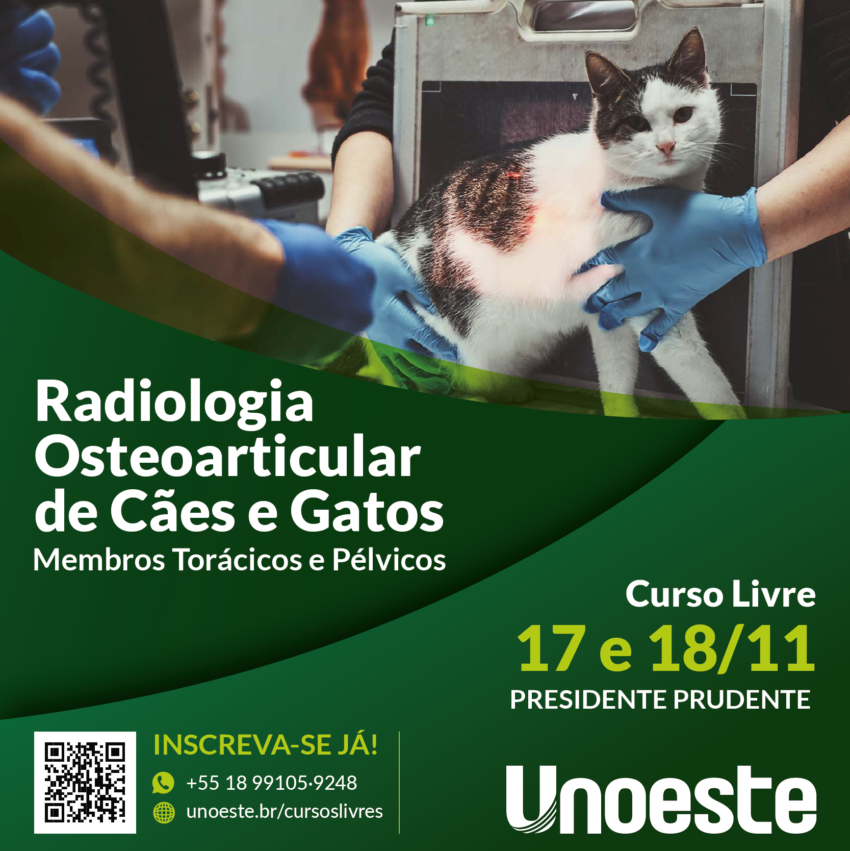 Radiologia Osteoarticular de Cães e Gatos: Membros Torácicos e Pélvicos