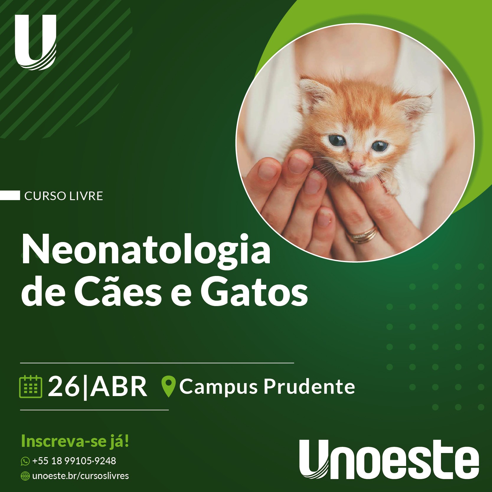 Curso de Neonatologia de Cães e Gatos                                                                                                                                                                                                                          