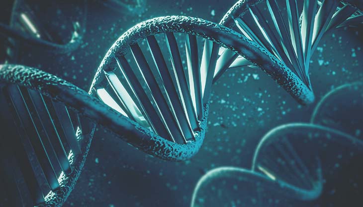 DNA revelado: fundamentos e segredos da biologia molecular                                                                                                                                                                                                     