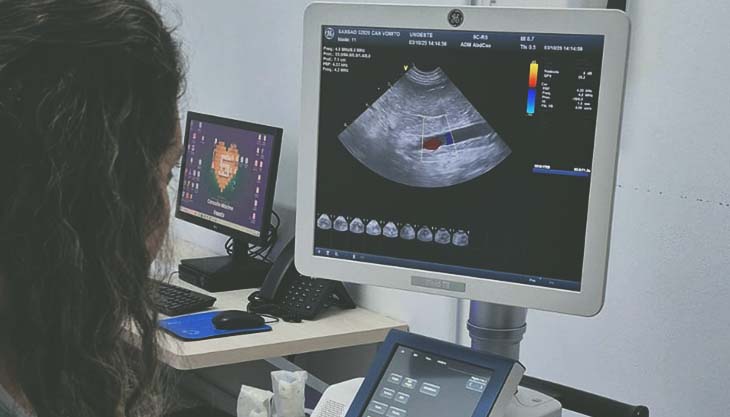 Ultrassonografia vascular em cães                                                                                                                                                                                                                              