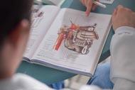 Estudante de medicina de Unoeste examinando um livro de anatomia, focado na ilustração detalhada da estrutura interna da boca e do crânio humano. 