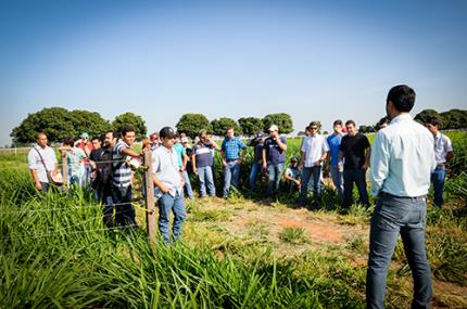 Estudos sobre agropecuária são apresentados em Dia de Campo